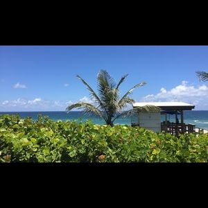 Meet your Posher, Madalyn